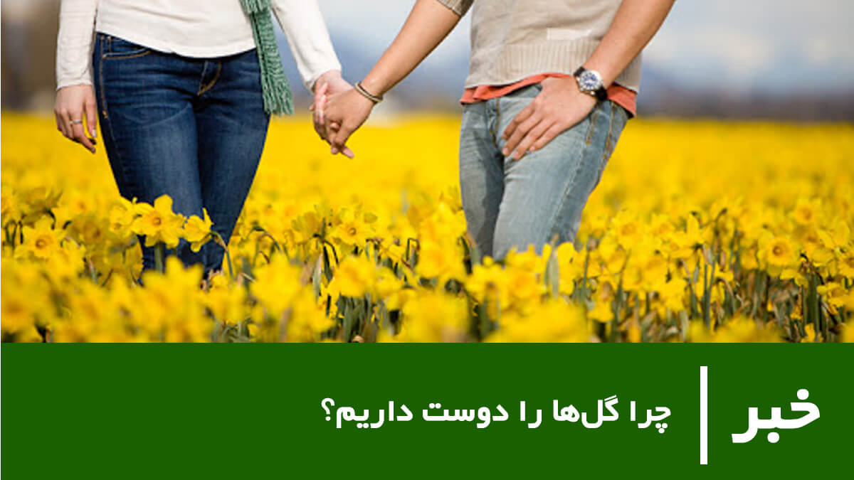 چرا گل‌ها را دوست داریم؟